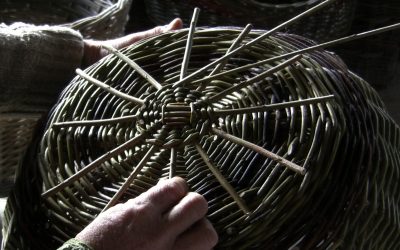 Methods Of Willow Basket Weaving